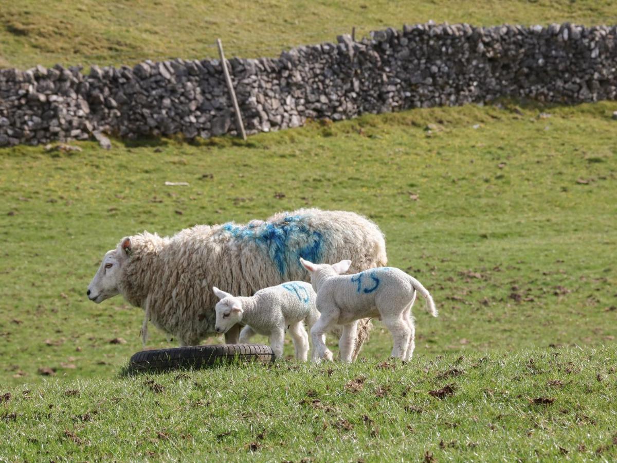 Shepherds Retreat Ashbourne  Eksteriør billede